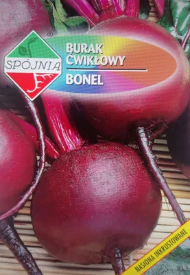 Zdjęcie produktu dla NASIONA Burak ćwikłowy Bonel 12g SPÓJNIA 700015