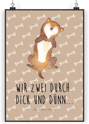 Produktbild von Mr. & Mrs. Panda Bild Hund Streicheln DIN A4 - Hundeglück - Geschenk, drucke, Süß, wanddeko, Niedlich, Plakat, Bauch, Wandbild, Hunde, Sprüche, Kunstdruck