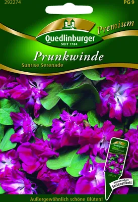 Produktbild von Prunkwinde, Sunrise Serenade