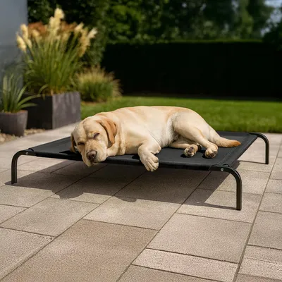 A dog is sleeping on an elevated outdoor dog bed on a patio.