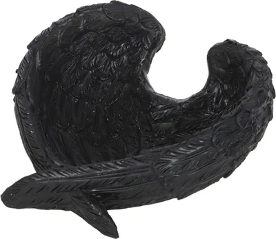 Produktbild von Schwarzer Gothic Schmuckteller mit Rabenfedern 11 cm Ø
