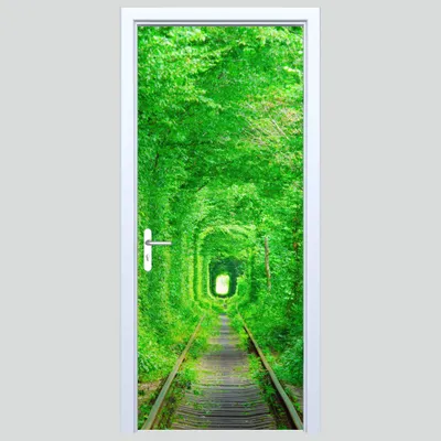 Immagine prodotto di Adesivo per porta in tessuto Vecchie tracce nella foresta 351PD
