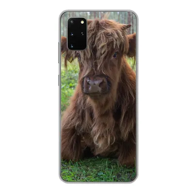 Produktbild von MuchoWow® Handyhülle Schutzhülle Hülle für Samsung Galaxy S20 Plus Schottischer Highlander - Kröte - Tiere Silikon Softcase Handy Hülle - Hartschale