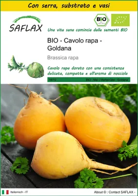 Immagine prodotto di SAFLAX Insieme di coltivazione -- Cavolo rapa - Goldana - 500 semi - Brassica