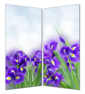 Produktbild von Wallario selbstklebende Duschrückwand 160 x 200 cm mit Motiv Abstrakte blaue Schwertlilien in Nahaufnahme - Wandverkleidung mit Hochglanzlaminat in Glasoptik