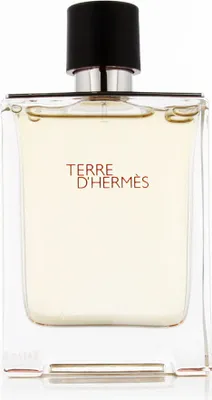 Zdjęcie produktu dla Terre D'Hermes woda toaletowa spray 100ml