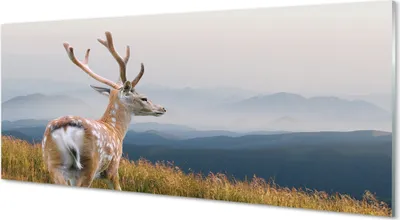 Produktbild von Glasbilder 125x50 Wandkunst Hirsch Berge