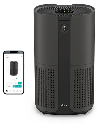 Productafbeelding van Bright 2 Slimme Luchtzuiveraar. Luchtzuiveraar met een CADR van 210, een luchtkwaliteitsindicator en een ionisator. Verwijdert tot wel 99,97% van de verontreinigingen in ruimtes tot 42 m². Kleur: zwart