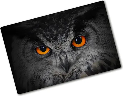 Produktbild von Tulup Glas Herdabdeckplatte - 80x52 cm - Glaskeramikkochfeld-Abdeckung Spritzschutz Glasabdeckplatte - Einteilig - Tiere - Teufelsaugen Eule - Orange