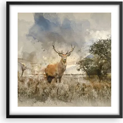 Produktbild von Gerahmtes Poster - Schwarzer Rahmen - rotwild natur - 50x50 cm - Wand Bild - Wanddeko - Wandbilder - Kunstposter - Wandposter - Bilderrahmen - Bilder - Kunstdruck - Wandbild - P2BAC50x50-3465