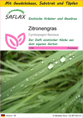 Produktbild von SAFLAX Anzucht Set - Zitronengras - Cymbopogon flexosus - 50 Samen - Mit Mini-Gewächshaus, Anzuchtsubstrat und 2 Töpfen