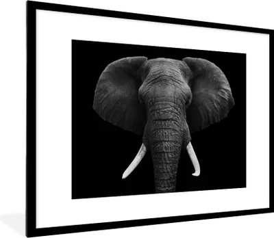Produktbild von MuchoWow® Gerahmtes Poster Elefant - Wildtiere - Schwarz - Weiß - Porträt 80x60 cm - Poster mit Schwarzem Bilderrahmen Wandposter Rahmen Foto Bilder - Schlafzimmer-Dekorationen - Fotoposter