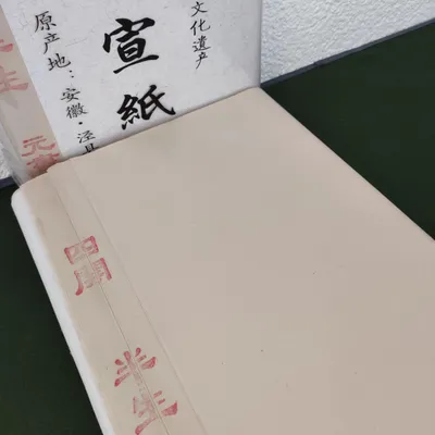 Image de ESENG® Papier chinois Xuan - Yuanshu