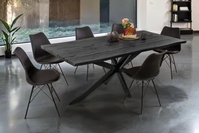 Produktbild von Esstisch Baumkante Holz-Optik Grau 200 x 100 Spider-Gestell schwarz JOSY