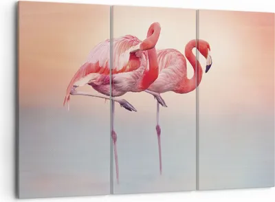 Produktbild von Bild auf Leinwand - Leinwandbild - 3 Teile - Flamingos Exotik Vögel - 105x70cm - Wand Bild - Wanddeko - Wandbilder - Leinwanddruck - Bilder - Wanddekoration - Leinwand bilder - CE105x70-5044