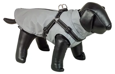 Produktbild von Nobby Regenmantel Anteka 2 in 1 grau, Größe: 44 cm