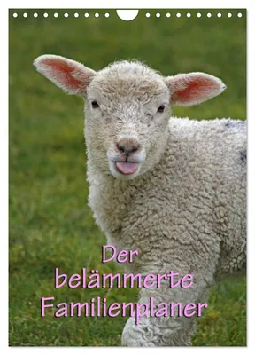 Produktbild von Der belämmerte Familienplaner (Wandkalender 2027 DIN A4 hoch), CALVENDO Monatskalender