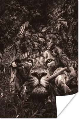 Produktbild von MuchoWow® Poster Tiere - Flamingo - Löwe 80x120 cm - Papierdruck