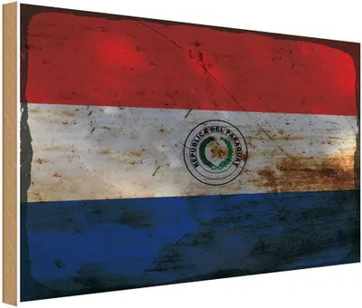 Produktbild von vianmo Holzschild 30x40 cm Paraguay Flagge Fahne Wappen