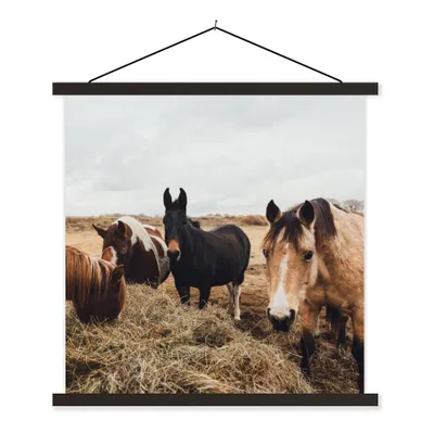 Produktbild von MuchoWow® Textilposter Tiere - Pferd 90x90 cm mit schwarzem Rahmen - Magnetisches