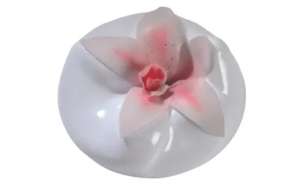 Obrázek produktu pro Formovač na květiny 150x55 mm Orchidei
