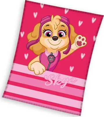 Obrázok produktu pre Detská deka Paw Patrol Pilot Skye 110x140 cm