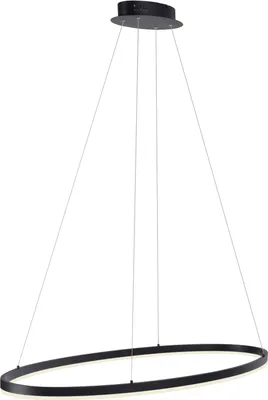 Obrázek produktu pro PAUL NEUHAUS LED závěsné svítidlo 2393-13 antracit, 57,5 W, 7760 lm, 3000 K