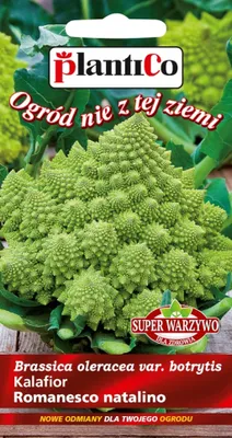 Zdjęcie produktu dla NASIONA Kalafior Romanesco Natalino 0,2g PLANTICO Super Warzywo 402676