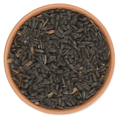 Produktbild von CJ Wildlife Sonnenblumenkerne Schwarz - Vogelfutter Wildvögel ganzjährig - 2,5 kg - ohne Pestizide, energiereich (Rohfett 29%)