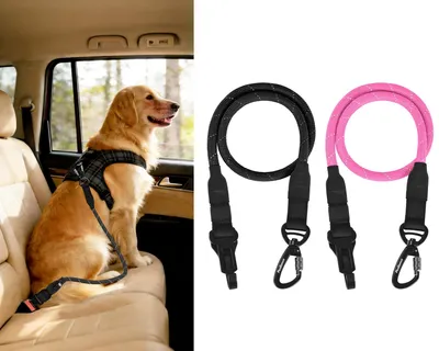 Imagen del producto de Omgoods - Correa de seguridad para perros, para automóvil, color