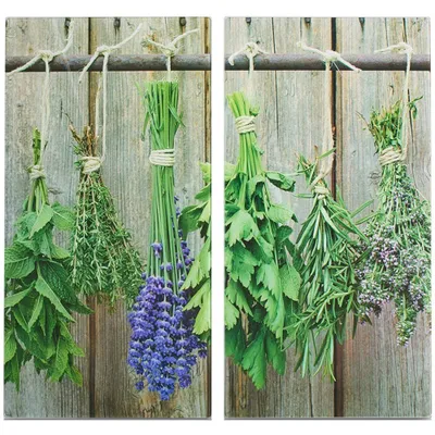Obrázok produktu pre Zeller "Herbs" kuchynský kryt/krájacie dosky, sada 2 ks, 30 x 52 cm, 26300
