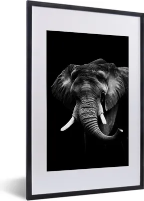 Produktbild von MuchoWow® Gerahmtes Poster Elefant vor schwarzem Hintergrund - schwarz und weiß 40x60 cm - Poster mit Schwarzem Bilderrahmen Wandposter Rahmen Foto Bilder - Poster in Rahmen
