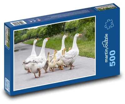 Obrázek produktu pro martinpuzzle - Puzzle 500 - Husy na cestě
