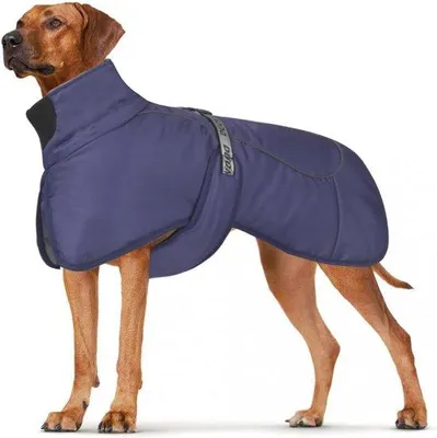 Produktbild von Famanu Hundejacke - Wasserdicht - Reflektierende Streifen - Für mittelgroße Hunde - Mit Harnessöffnung