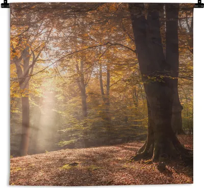 Produktbild von MuchoWow® Wandteppich Wandbehang Herbst - Licht - Wald 60x60 cm Tapisserie Dekoration Wandtuch - Dekorationen - Wand Decke