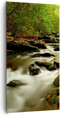 Produktbild von Bild auf Leinwand - Leinwandbild - Bäume Strom Felsen - 65x120cm - Wand Bild - Wanddeko - Leinwanddruck - Bilder - Kunstdruck - Wanddekoration - Leinwand bilder - Wandkunst - PA65x120-0152
