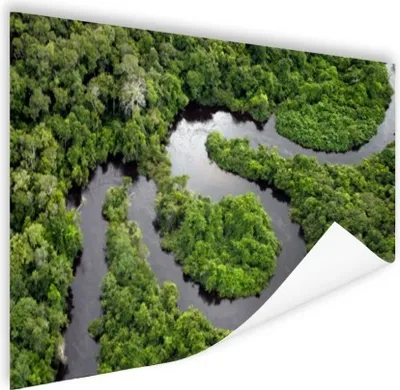 Produktbild von MuchoWow® Poster Regenwald und Amazonas Brasilien 180x120 cm - Fotoplakat