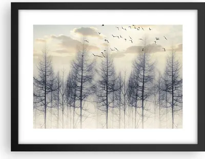 Produktbild von Gerahmtes Poster - Schwarzer Rahmen - Bäume Vögel Himmel - 40x30 cm - Wand Bild - Wanddeko - Wandbilder - Kunstposter - Wandposter - Bilderrahmen - Bilder - Kunstdruck - P2BAA40x30-4546
