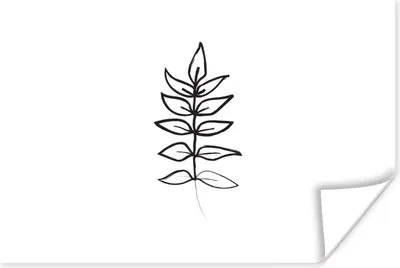 Produktbild von MuchoWow® Poster Farn - Pflanzen - Linienkunst - Weiß 60x40 cm - Schlafzimmerdekoration