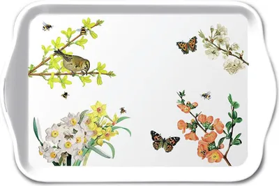 Produktbild von Tablett melamine 13x21 cm Spring awakening - Vogel, Schmetterlinge