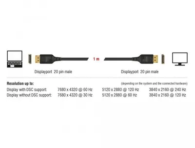 Image de DELOCK DeLOCK 85658 DisplayPort cable 1 m Black