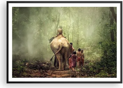 Produktbild von Gerahmtes Poster - Schwarzer Rahmen - Elefant Dschungel Nebel - 100x70 cm - Wand Bild - Wanddeko - Wandbilder - Wandposter - Bilderrahmen - Bilder - Kunstdruck - Wandbild - P2BAA100x70-3438