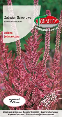 Produktbild von Samen von Suvorov's Zatrwian karminrosa - Torseed