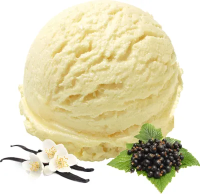Obrázek produktu pro Vanilková veganská zmrzlina v prášku bez cukru, bez laktózy 1 kg