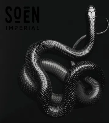 Image de Soen - Vinyle impérial