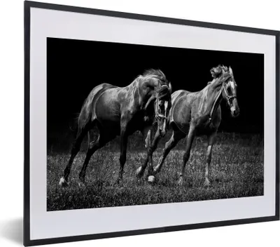 Produktbild von MuchoWow® MuchoWow® Gerahmtes Poster Pferde - Gras - Schwarz - Weiß 40x30 cm - Poster mit zchwarzem Bilderrahmen - Bilderrahmen - Poster im Rahmen