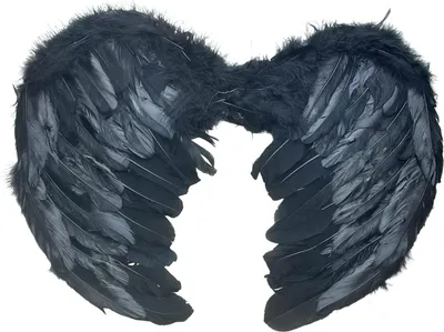 Produktbild von Flügel,SchwarzerEngel,Teufel,Engelsflügel HxB:ca35x45cm aus Federn für Damen, Mädchen an Halloween, Karneval, Motto Party,CSD, Jungesellinnen Abschied von KOH (Schwarz)
