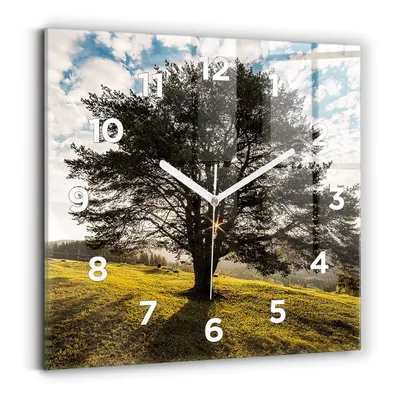 Produktbild von Wallfluent Wanduhr – Stilles Quarzuhrwerk - Uhr Dekoration Wohnzimmer Schlafzimmer Küche - Zifferblatt - weiße Zeiger - 30x30 cm - Baum auf einem Hügel
