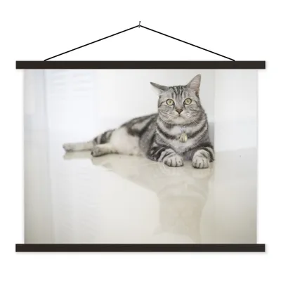 Produktbild von MuchoWow® Textilposter Katze - Grau - Tier - Mädchen - Kinder - Jungen - Kind 150x113 cm mit schwarzem Rahmen - Wohnzimmer