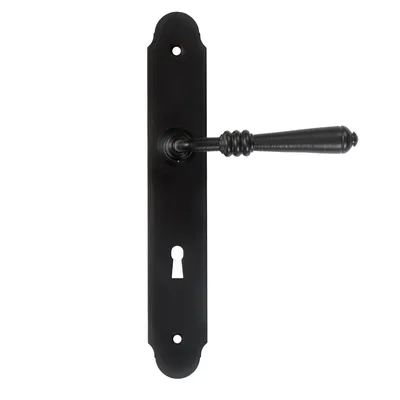 A black door handle set with a long backplate and a keyhole.
